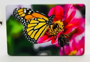 Monarch Butterfly Full Color UV Hitch Cover